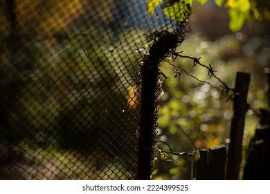 Old Fence. Rusty Steel Mesh. Fence In Garden. Details Of Countryside.