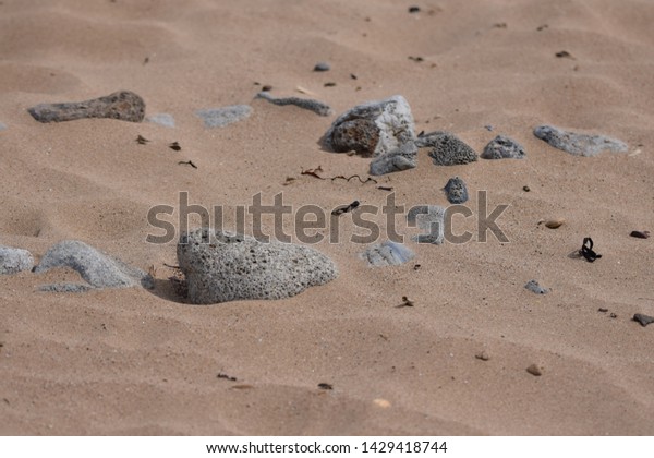 Old Fire Pit On Beach Parks Outdoor Abstract Stock Image