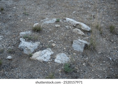 Old fire ring with rocks in forest that has not been used in many years.   