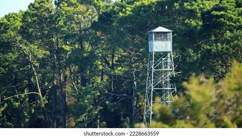 Old fire tower in the forest.