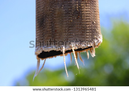 Old firehose close up