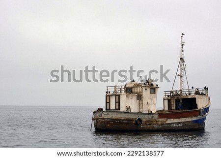 An old fishing boat floats on the sea water with many seagulls on board. People are not visible. The sea is calm and without waves