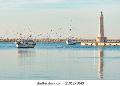 Old fishing boats returning from fishing enters the port at sunset accompanied by a flock of seagulls. With beautiful lighthouse in the background