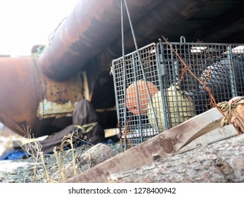 Old Fishing Gear On Alaska Beach 