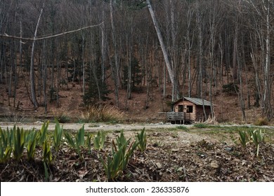 Log Cabin On Lake Images Stock Photos Vectors Shutterstock