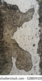 Old Flor,old Cement,cement