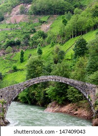 Old Footbridge In Turkey - Black Sea Region  