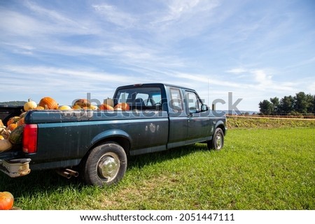 an old ford farm truck in the pumpkin patch. They use the truck daily to pick pumpkins for those who cannot walk through the field. 