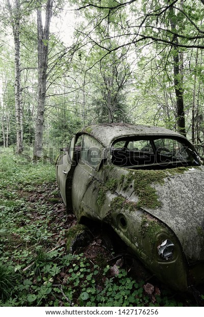Old,\
forgotten car in the forest in Southern Finland.\
