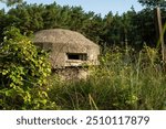 Old fortifications of the Polish coast. Sniper post among the bushes.  Hel, Hel Peninsula, Pomerania, Poland, Europe