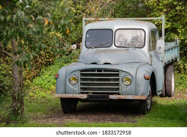 old french car in a apple orchard