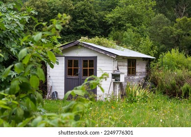 Old garden cabin with green forest on the background in Pyrenees mountains, France - Powered by Shutterstock