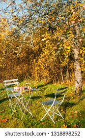 Old garden chairs and table with apples beside an apple tree in autumn