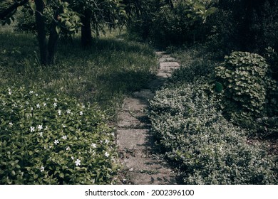 Old Garden Path, Overgrown Stone Pathway In Botanical Garden