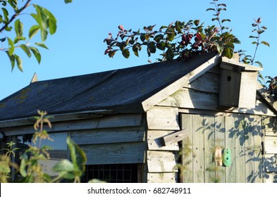 Old Garden Shed