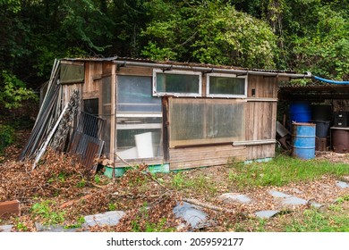 Old Garden Shed, Hidden In The Forest.