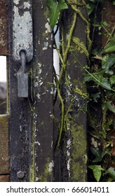 Old Gate