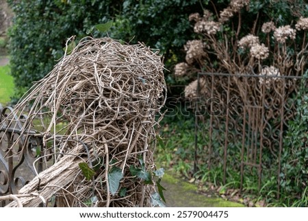 Old gatepost covered in a pile of dead ivy branches