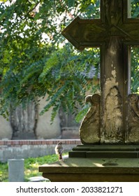 Old German Graveyard Sculpture With A Bird Flying Around.