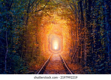Old Golden Autumn Trees Tunnel with old railway - Tunnel of Love. Natural tunnel of love formed by trees.  Ukraine, Europe - Shutterstock ID 2197992219