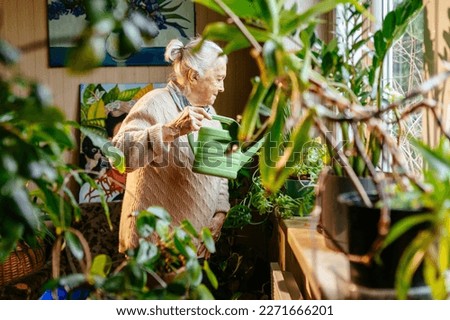 An old grandmother is watering flowers at home in a room full of domestic plants