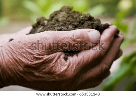 Old grandmother's hands with earth