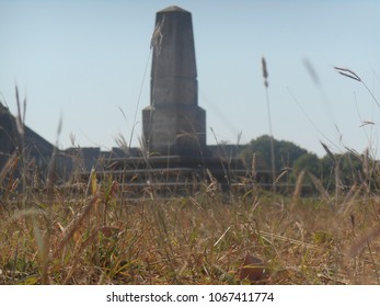 old grass side view
