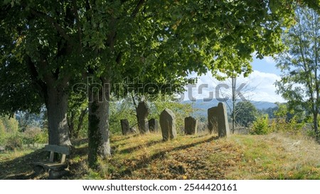 an old graveyard under a large oak tree in backlight, mystical athmosphere