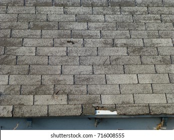 Old Gray Asphalt Shingle Roof