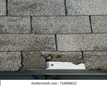 Old Gray Asphalt Shingle Roof