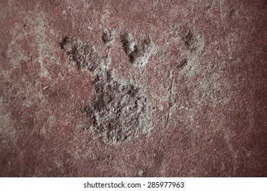 Old gray background