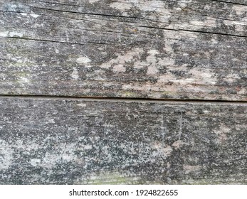 Old Gray Color Ripple Effect Wooden Wall Textured Grunge Vector Background