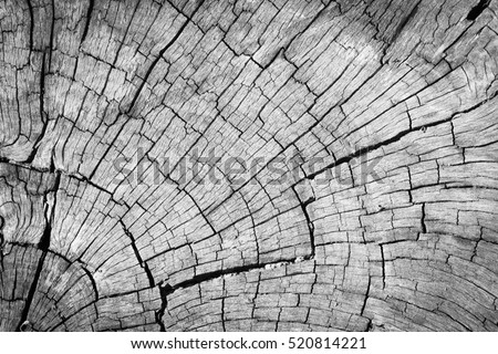 Old Gray cracked wood texture background.
