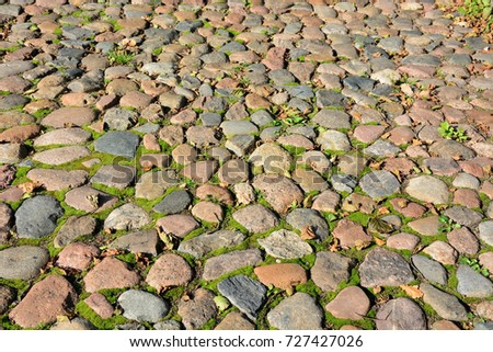 Old gray pavement with moss. Picture can be used as a background