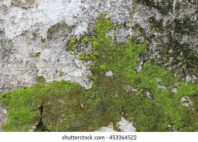 Old Gray Stone Wall With Green Moss Texture Background