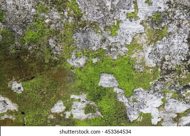 Moss Stone Texture Hd Stock Images Shutterstock