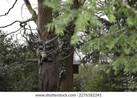 Old grumpy tree in the Efteling Themepark