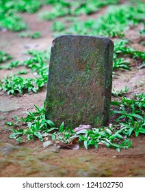 The Old Grunge Tombstone For The Pet Grave