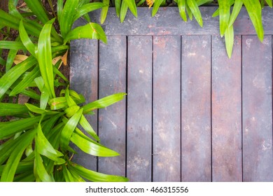 Old grunge wood with green leaves - Shutterstock ID 466315556