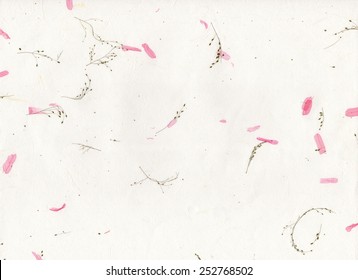Old Handmade Paper Texture Background With Dried Flowers