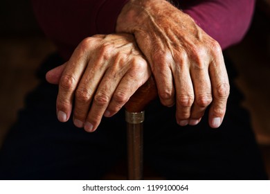 Old Hands On Canes Closeup Stock Photo 1199100064 | Shutterstock