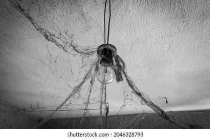 Old Hanging Light Bulb With Spider Web. Spooky Halloween Background Wallpaper. 