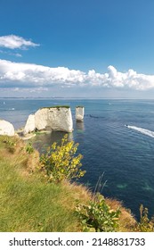 Old Harry Rocks near Studland in Dorset. English tourist attraction. White cliffs on sunny day