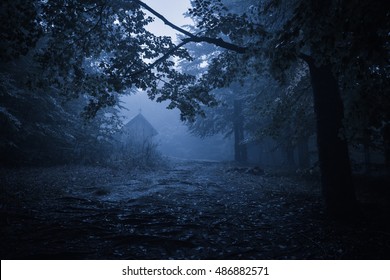 Old haunted wooden house, spooky misty foggy forest, halloween holiday celebration background concept, located in Transylvania, Romania