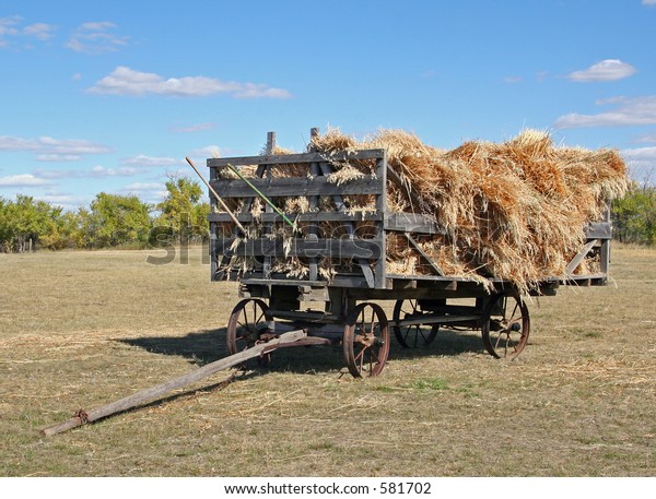 big farm mobile harvest cowshed yield