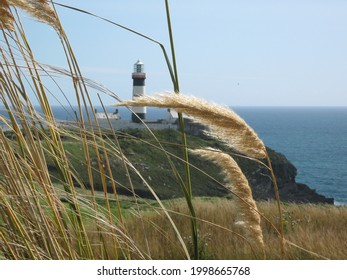 Old Head Of Kinsale Ireland