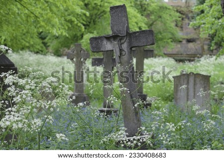 Old headstones in the historic Brompton Cemetery in London.