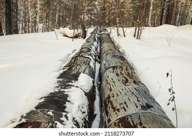 Old heating pipes in the forest close-up. Snowy winter. Outdoors