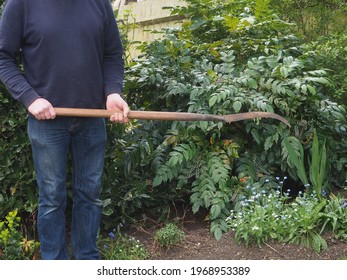 Old hedge slasher manual gardening tool for hedge trimming.