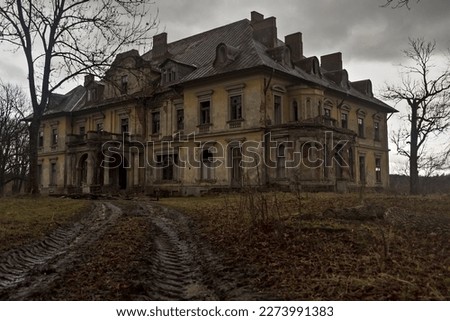 An old, historic palace that used to be the seat of a magnate family. Quite a very dilapidated, once beautiful and elegant building - a large family house now abandoned for the sake of time - a palace